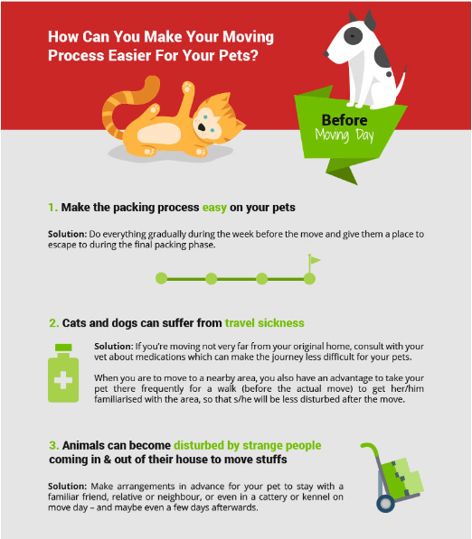 Best Care for Your Pets When You Move Your Home Infographic