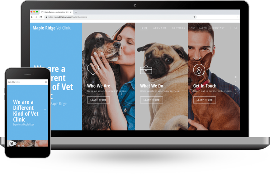 online marketing for veterinary practice