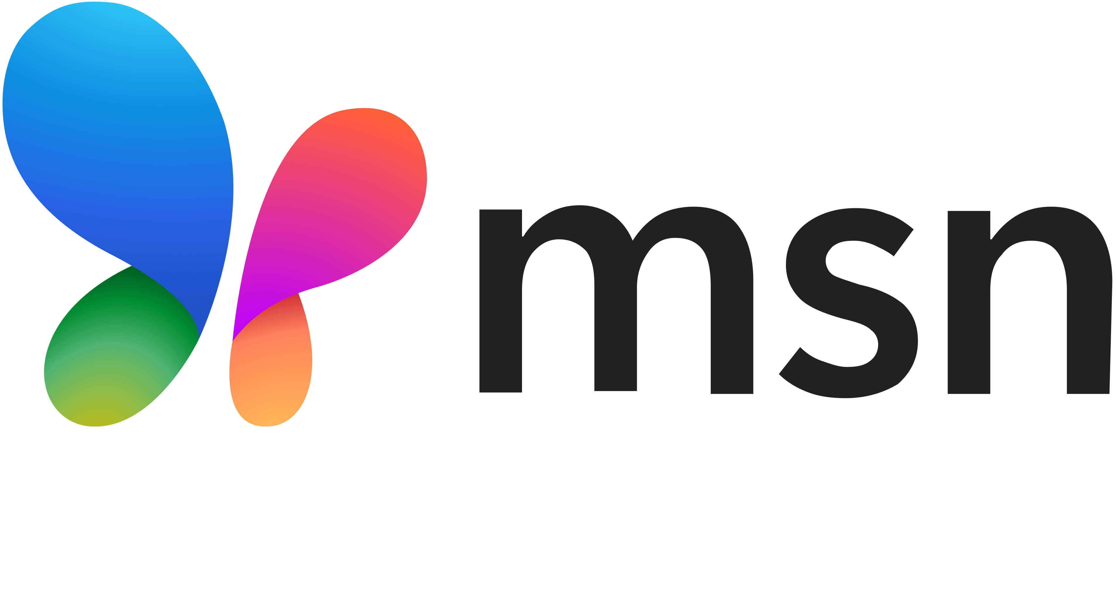 msn logo